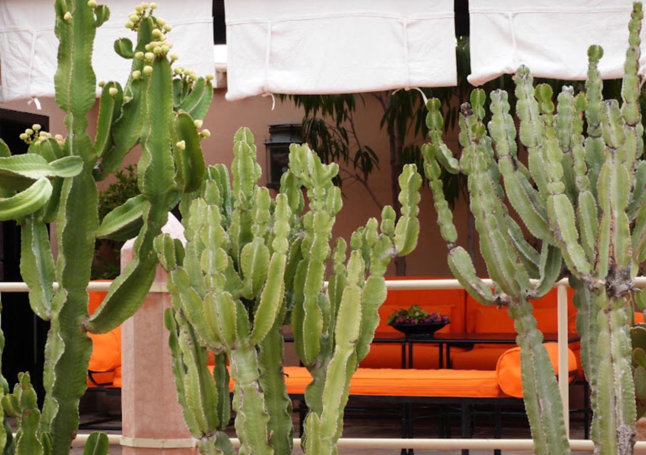 Riad Zouhour Marrakesh Extérieur photo